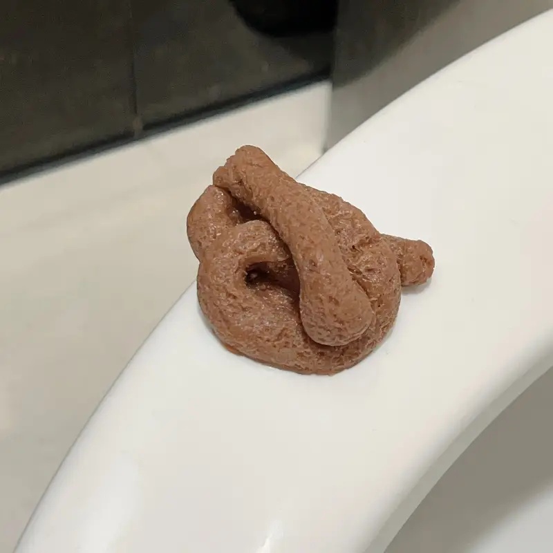 ของเล่นแกล้งคนรูปอุจจาระลอยน้ำ - Fake Poop Gag Gift บทวิจารณ์และราคา